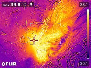 FLIR1000096_IR.jpg