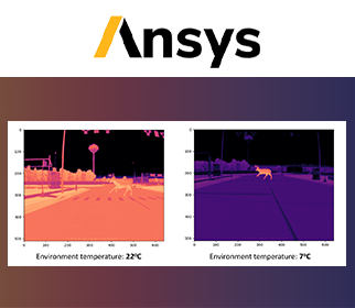 Anysys Logo with Thermal Imaging